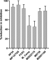 Figure 2—figure supplement 3.