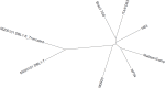 Figure 2—figure supplement 4.