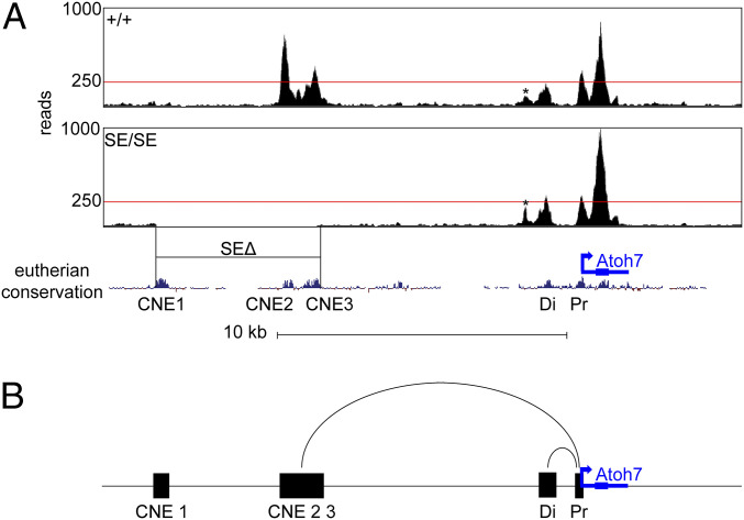 Fig. 7.