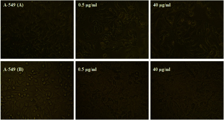 Fig. 13