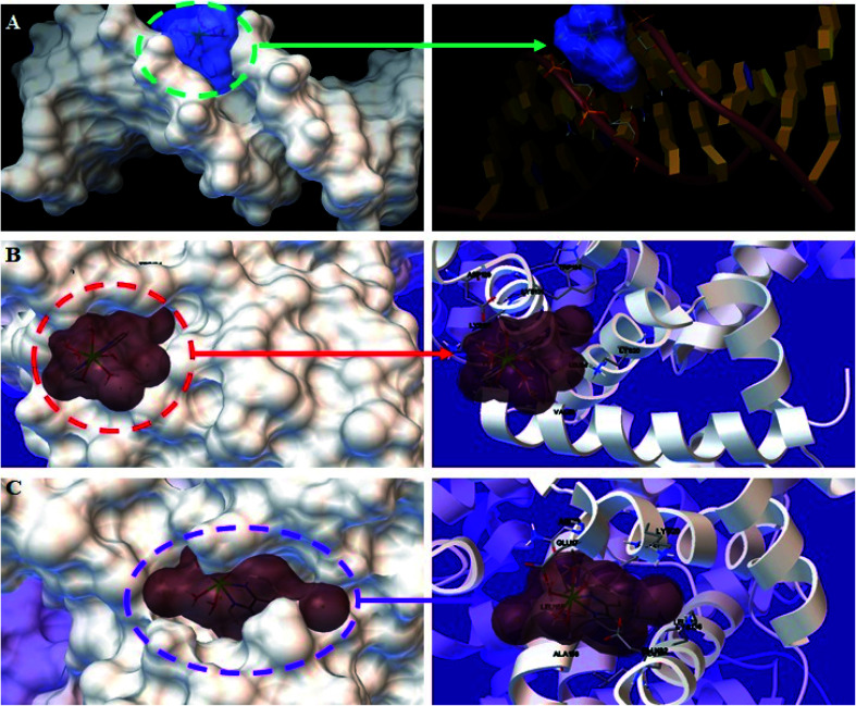 Fig. 12