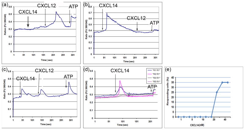 Fig. 4