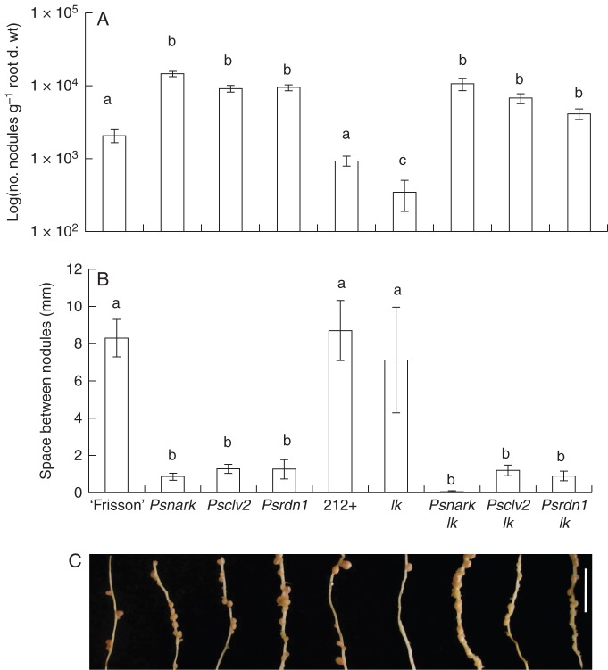 Fig. 2.