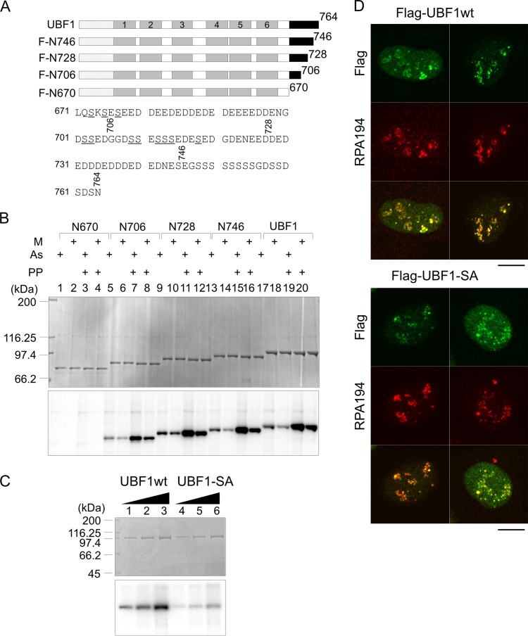 FIG 10