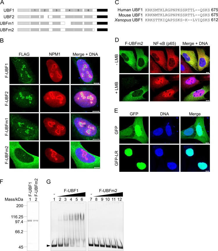 FIG 6