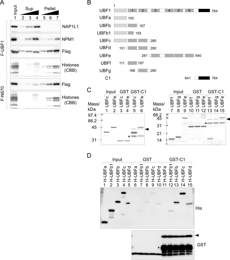 FIG 3