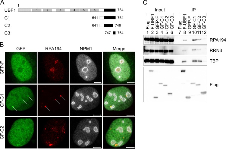 FIG 2