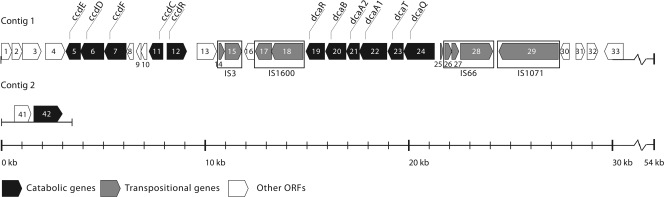 Fig. 3.