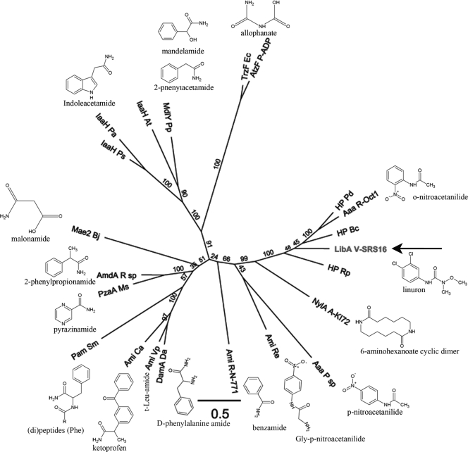 Fig. 5.