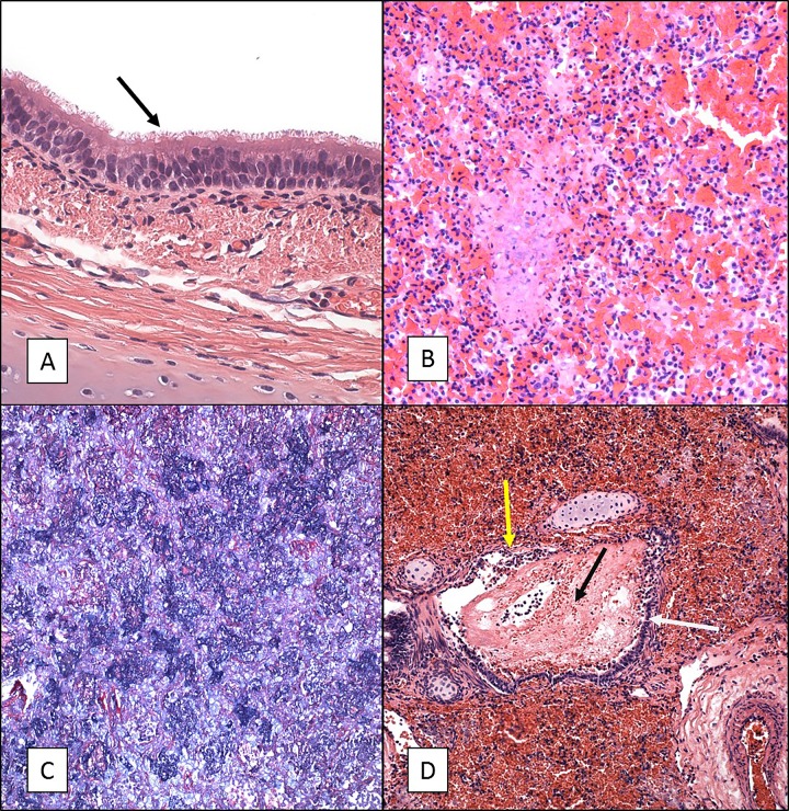 FIG 1