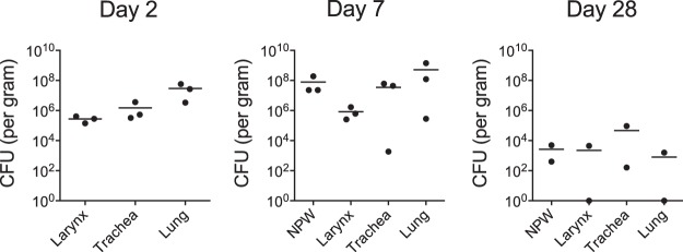 FIG 2