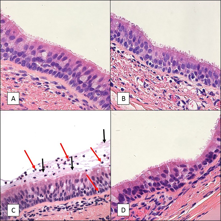 FIG 4