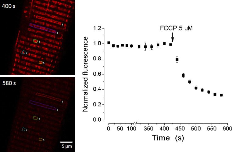 Fig. 4