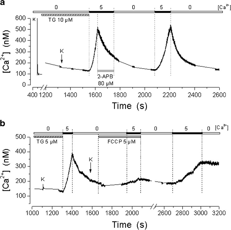 Fig. 6