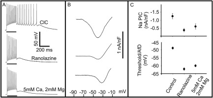 Figure 5