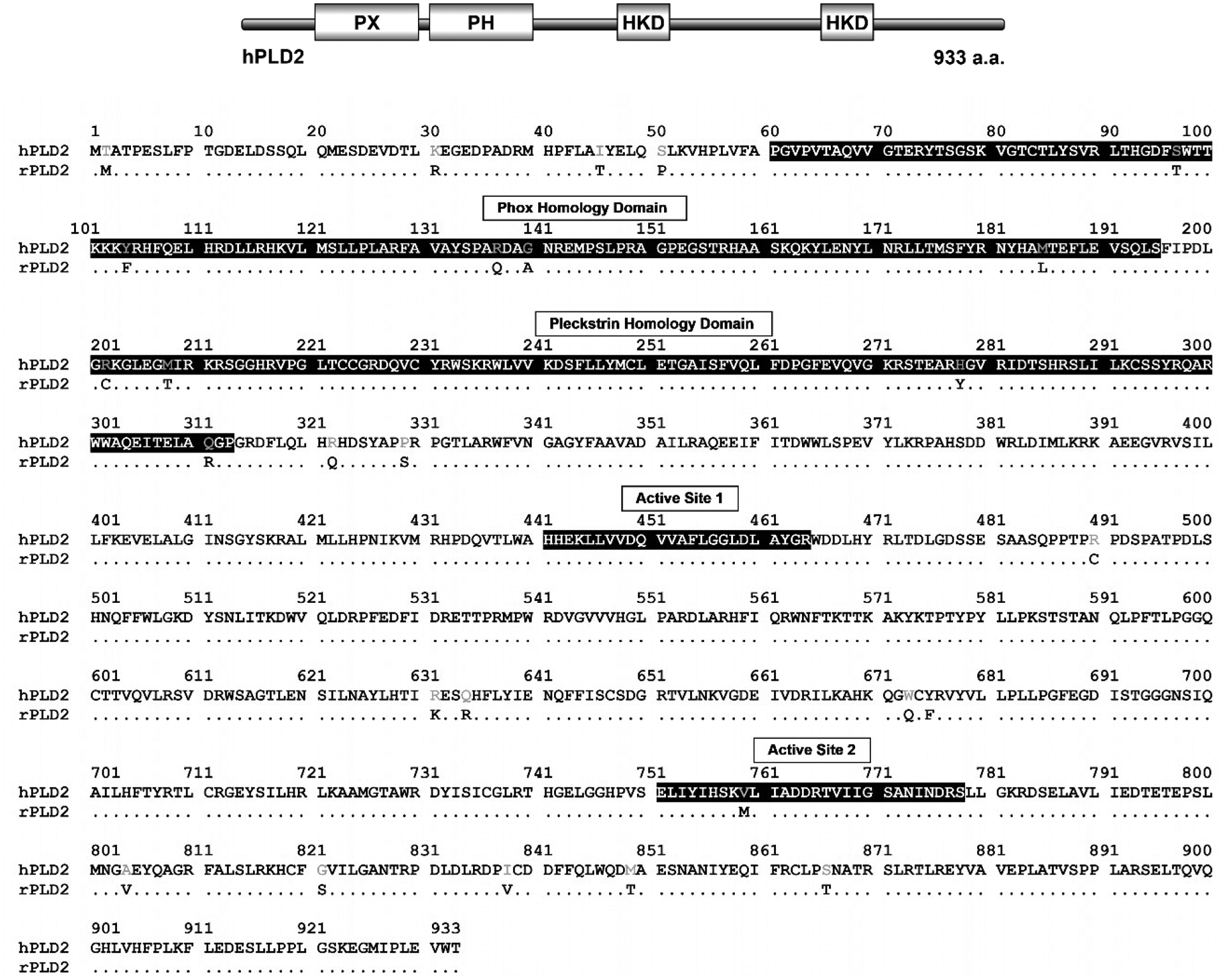 Fig. 4: