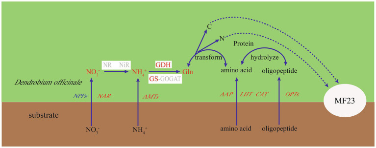 Figure 7