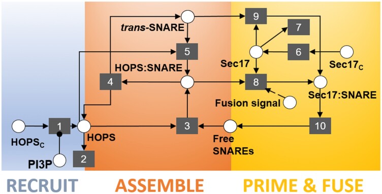 Figure 4.