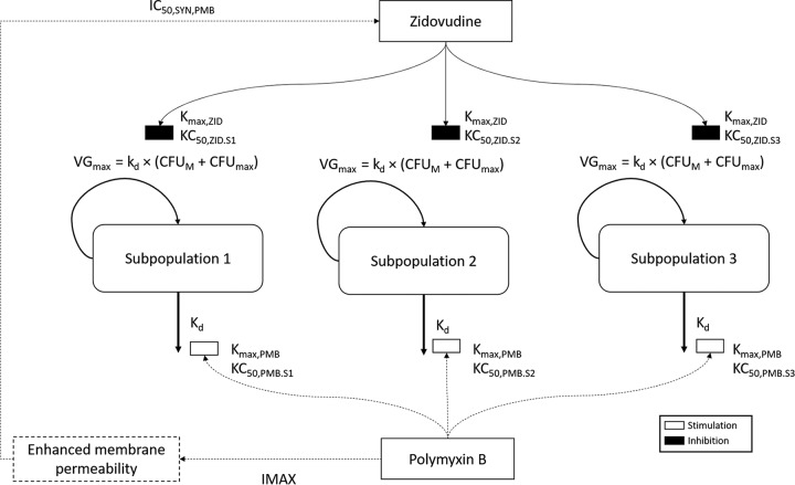 FIG 3