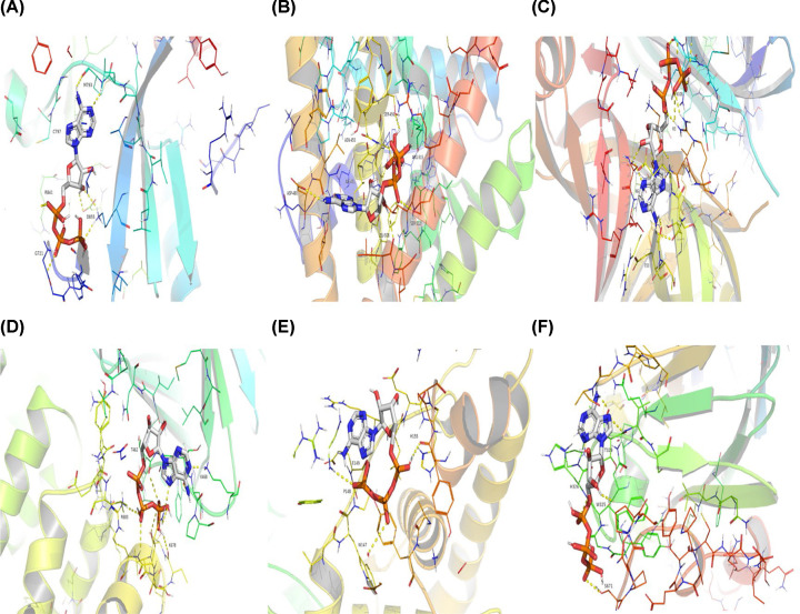 Figure 11
