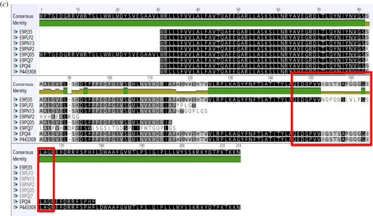 Figure 4.