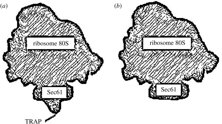 Figure 9.