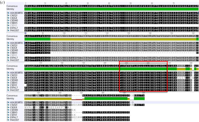 Figure 3.