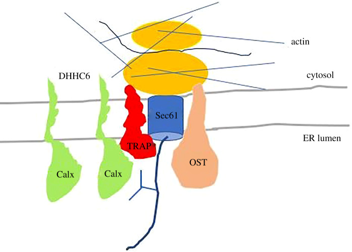 Figure 11.