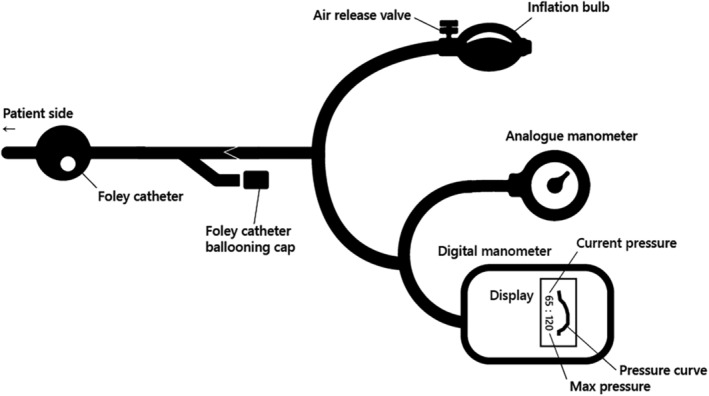 FIGURE 2