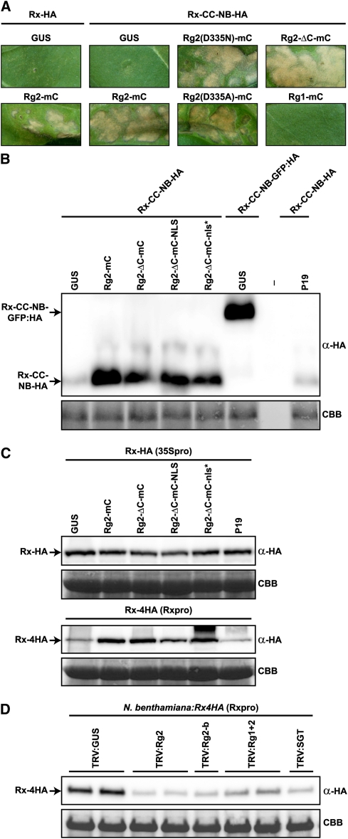 Figure 6.