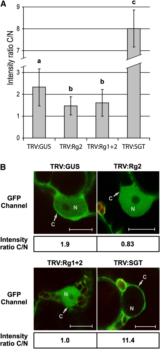 Figure 5.