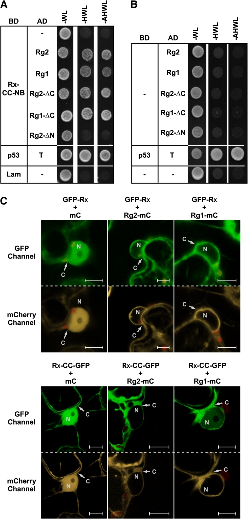 Figure 3.