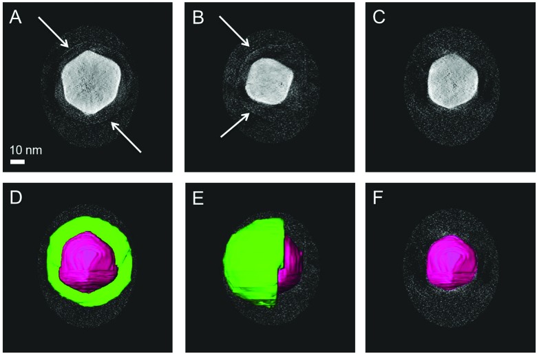 Fig. 2