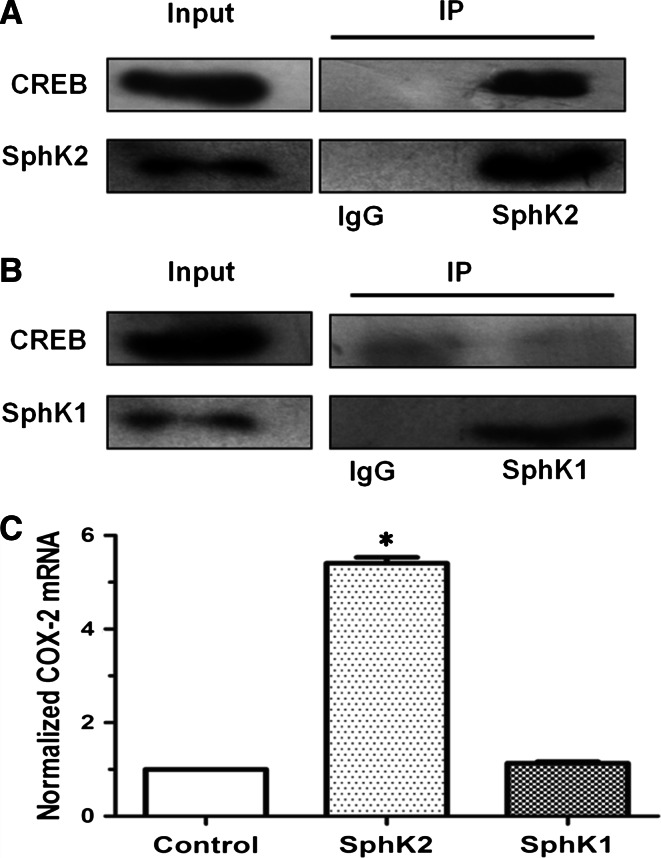 Fig. 8