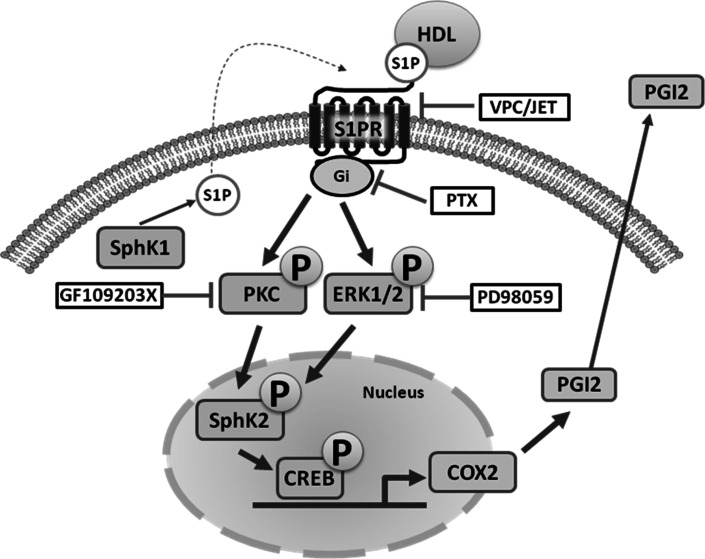 Fig. 9