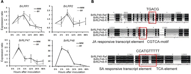 FIGURE 4