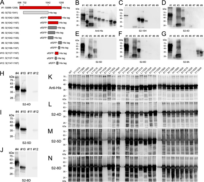 FIG 3