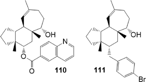 Figure 21