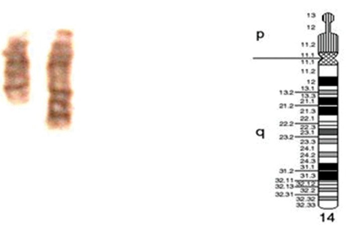 Fig 2