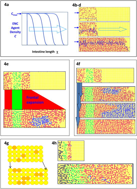 Fig. 4