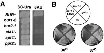 FIG. 5