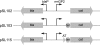 FIG. 1.