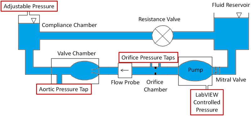 Figure 1: