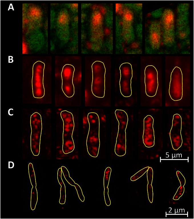 FIG 6