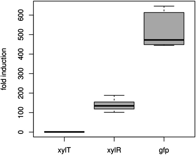 FIG 2