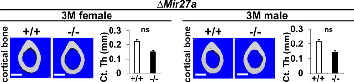 Figure 4—figure supplement 2.