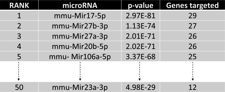 Figure 4—figure supplement 1.