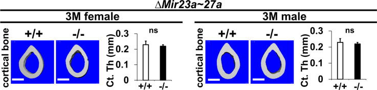 Figure 1—figure supplement 3.