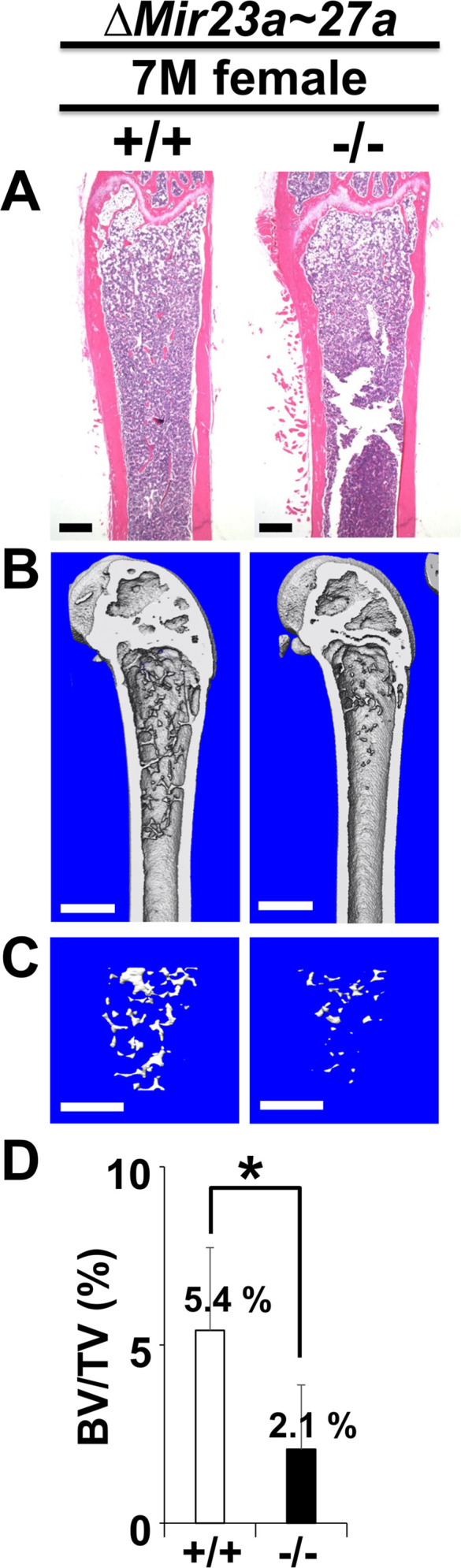 Figure 1—figure supplement 2.