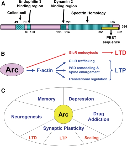 Fig. 2